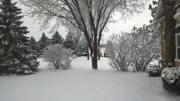 2016 Dec12_Snow_OTL