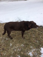 2017 Feb4_Nellie_OTL